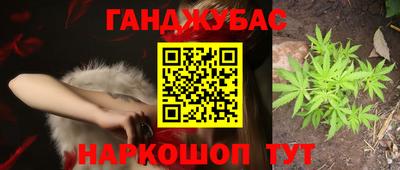 индика Ставрополь