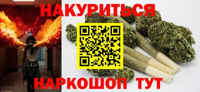 индика Ставрополь