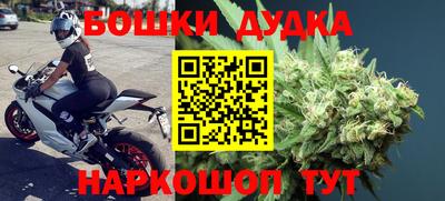 индика Ставрополь