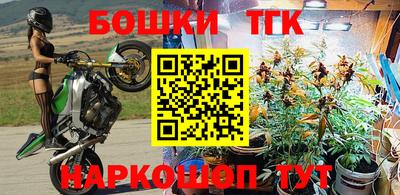 индика Ставрополь