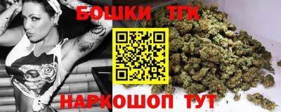 индика Ставрополь