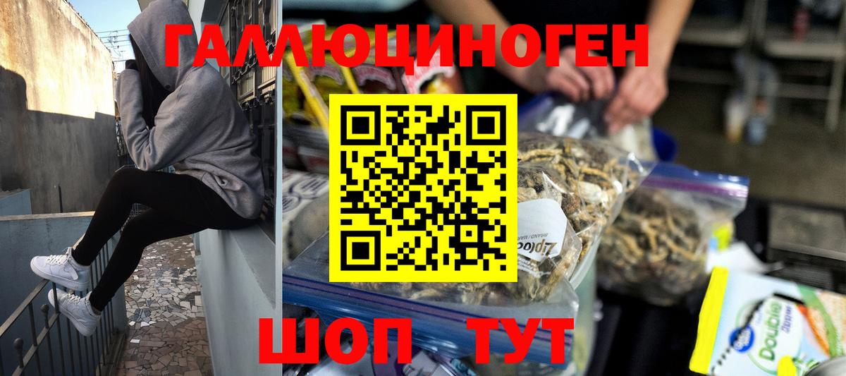 Псилоцибиновые грибы Psilocybine cubensis  Псилоцибиновые грибы мухоморы  Мурманск  Вход с VPN 